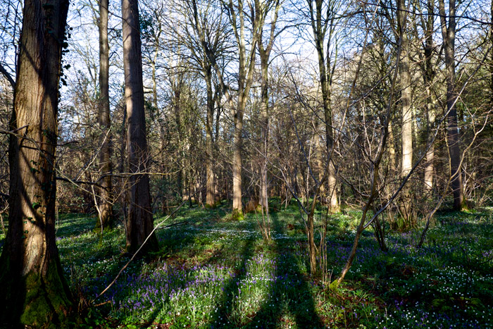 hockeringwood2904166
