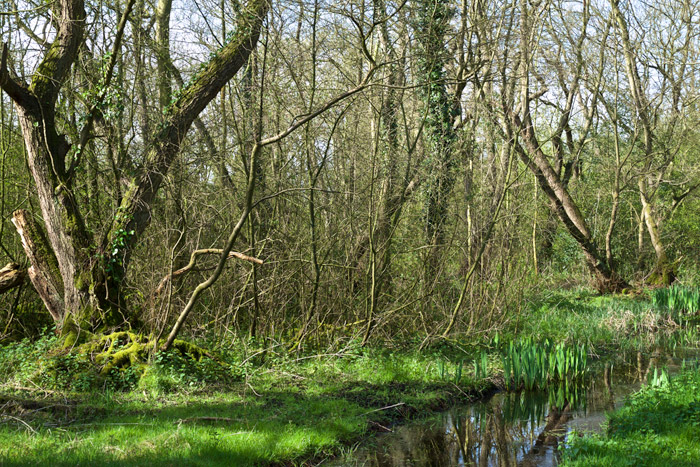upton2104162