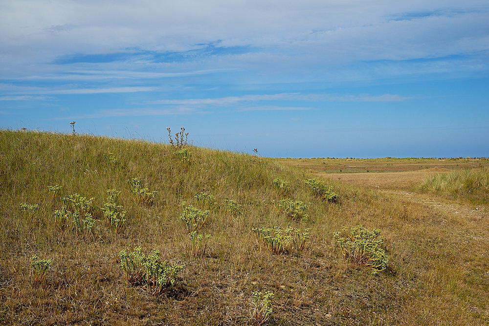 BlakeneyPoint190816-6