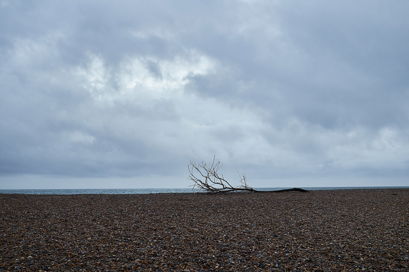 Salthouse1311161