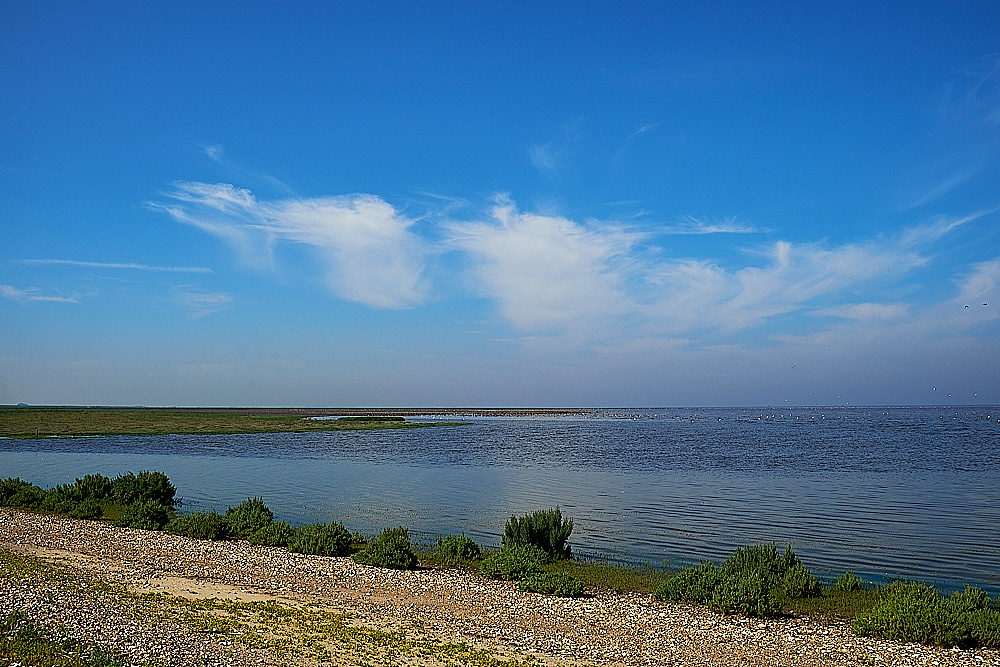 SnettishamBeach240816-3 1