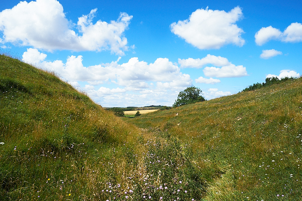 WarhamCamp310716-1